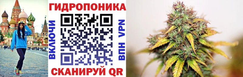 Наркотические вещества Александровск-Сахалинский Лсд 25  Альфа ПВП  ГАШ  Cocaine  Бошки Шишки 
