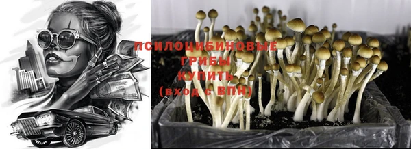кокаин премиум Пролетарск